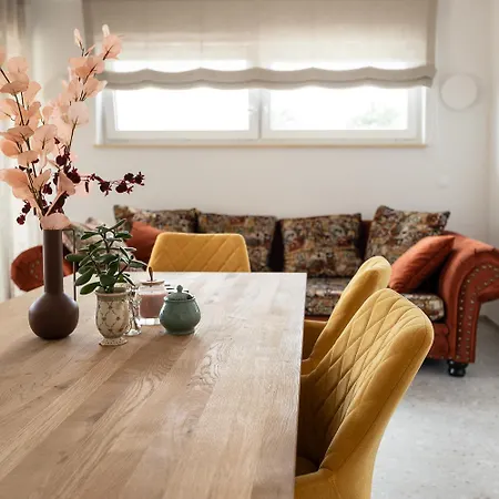 Kras 24 With Pool 公寓